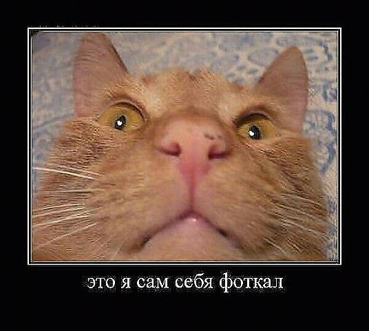ЭТО Я