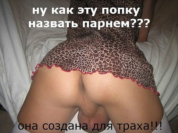 Ищу такую попку