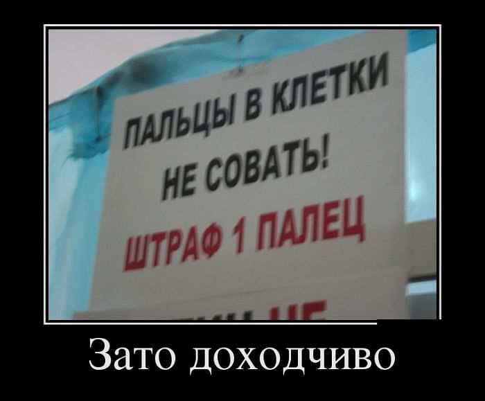 ку-ку