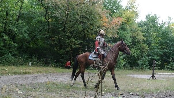 кто сказал, что рыцари вымерли, как вид
