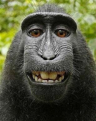 я на работе)