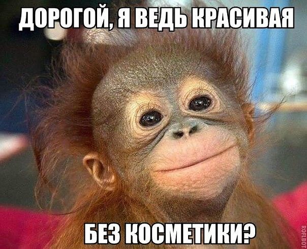 Cvjvchvvujgy