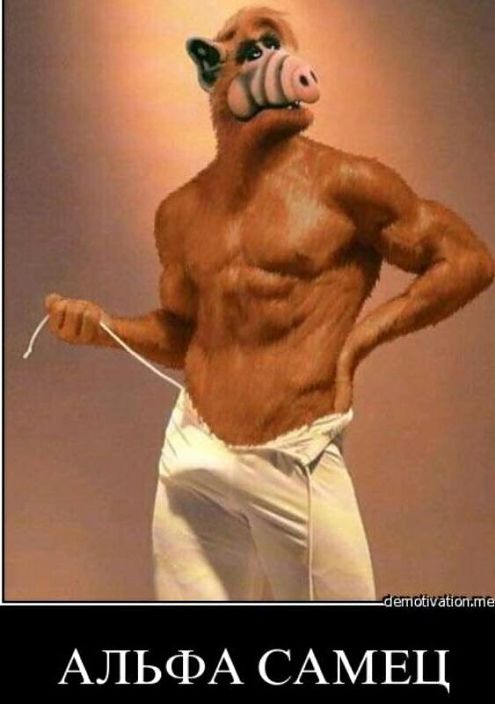 Личные фото