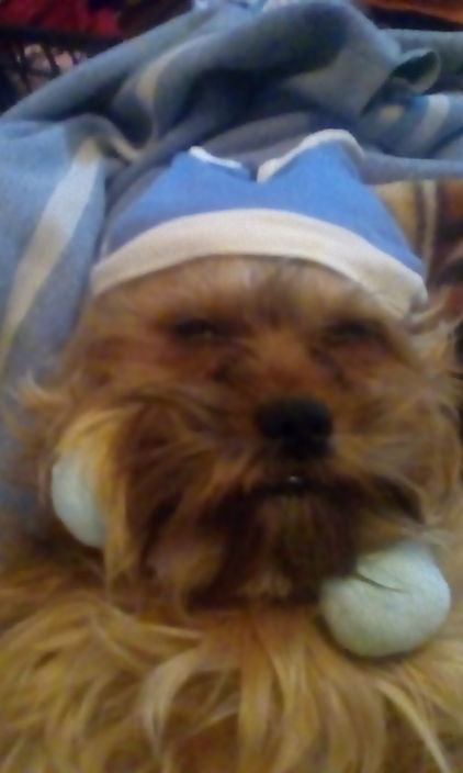 Личные фото