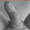 Penis 3 :)