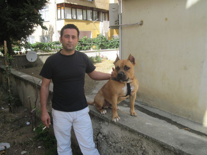 mithat