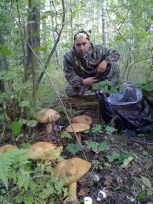 в лесу