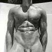 MALE M