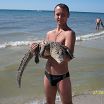море