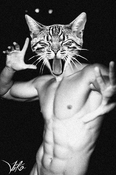 fdfdffffffffff