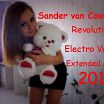 Sander van Cosmic 2013