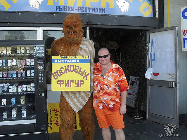 привет-дамы