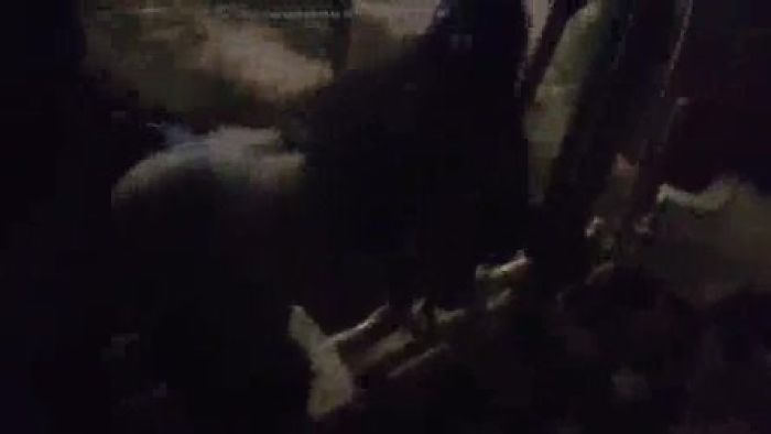 Записывал не я.Но девушка уж больно на мою похожа.