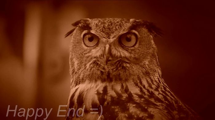 Месть пушыстых