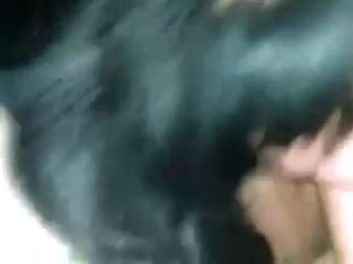 =Домашние сосочки=