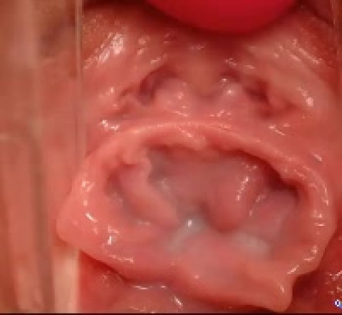 НЕЖНЫЙ ПОТРОХ