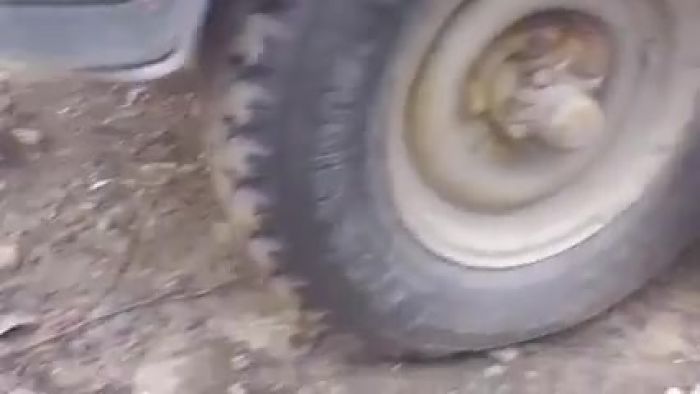 Том & Джерри