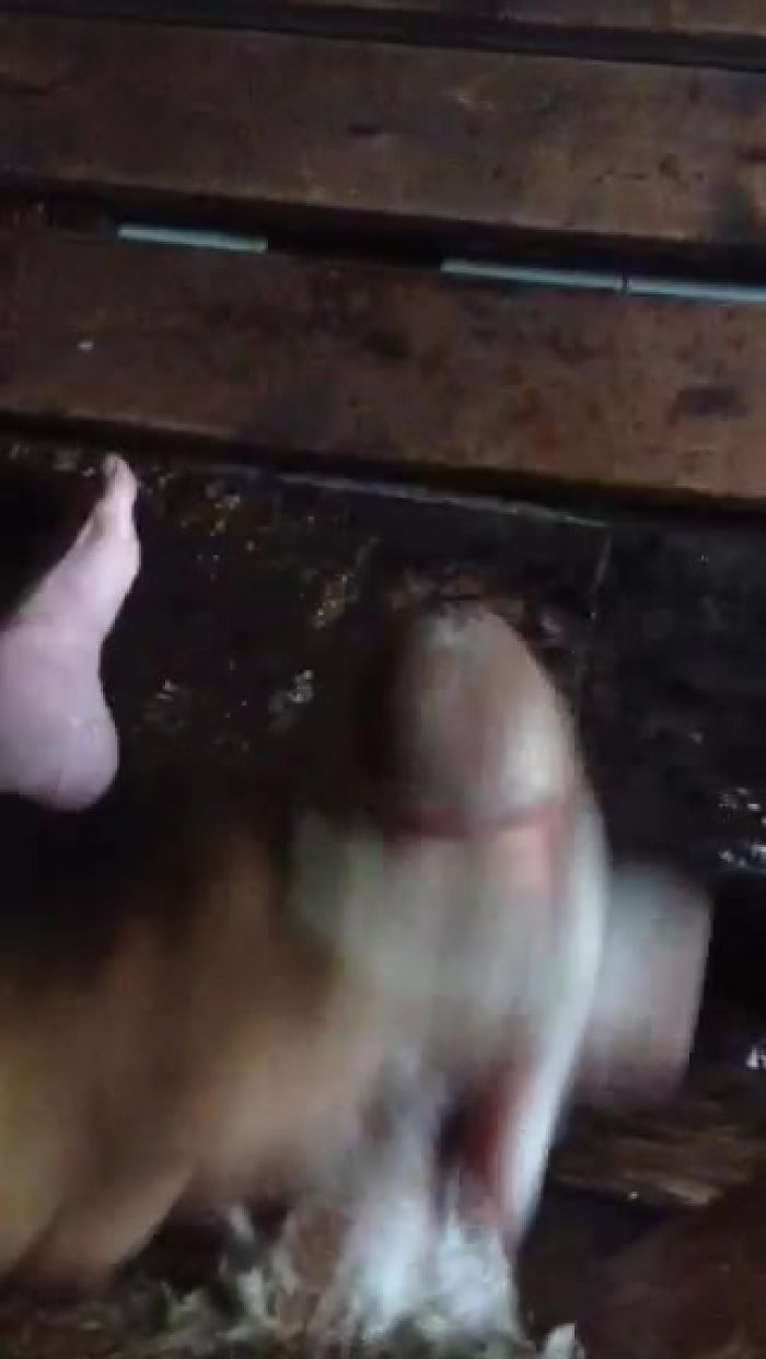 а хотел просто помыться ...