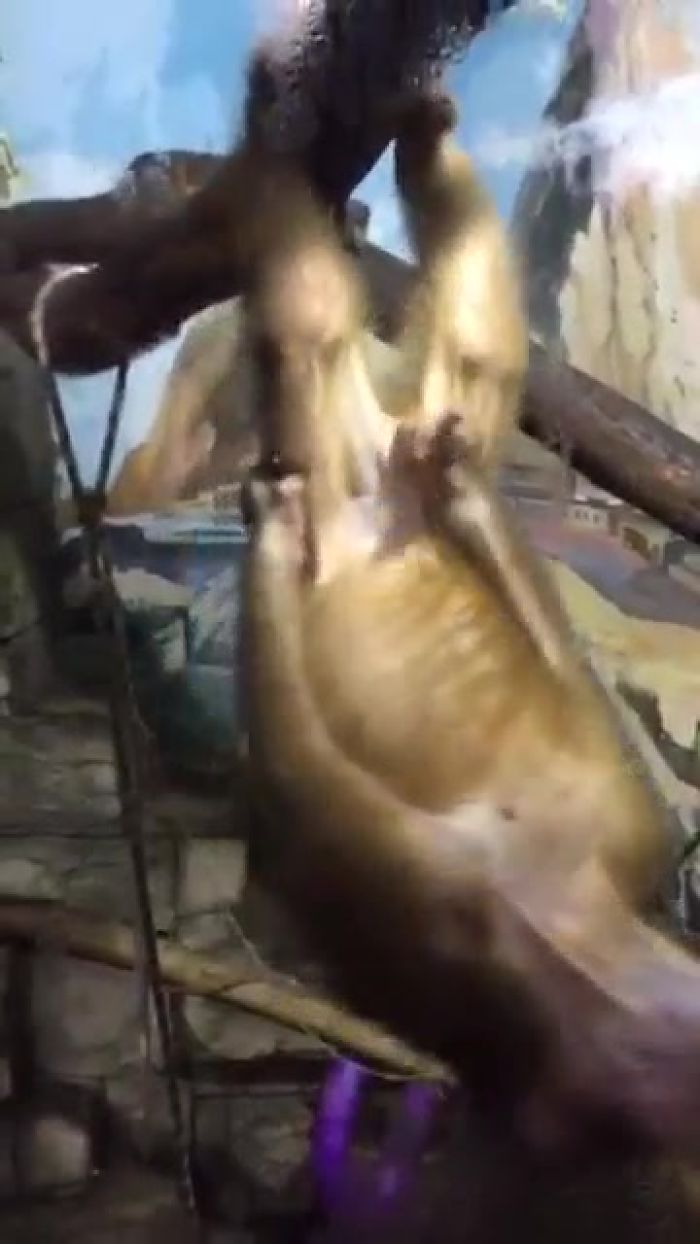 Ну всё прям как у людей!)))))