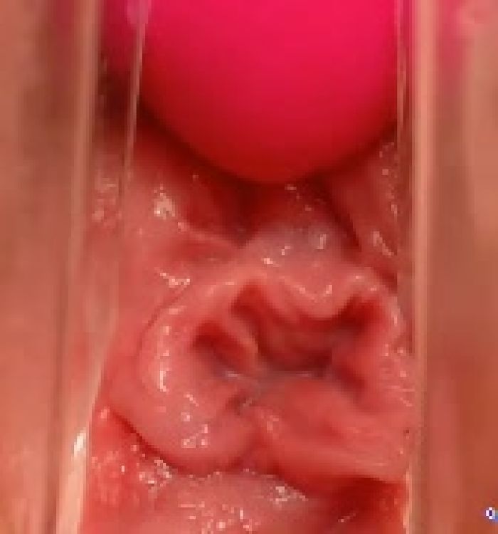 БЛЯДСКИЙ ПОТРОХ