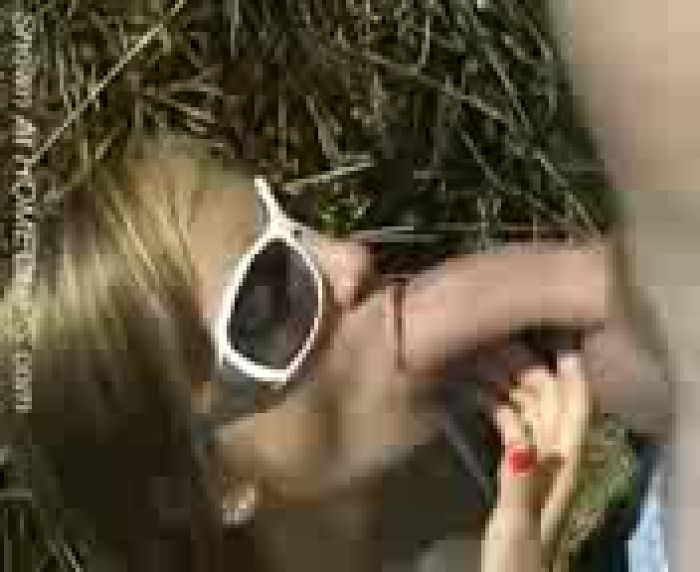 Мои любимые секс игры